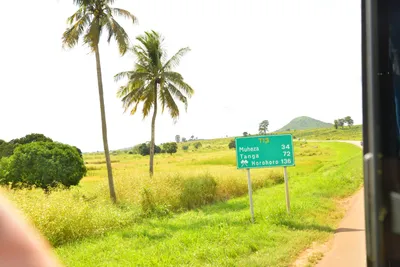 DSC_4376 (Large).JPG